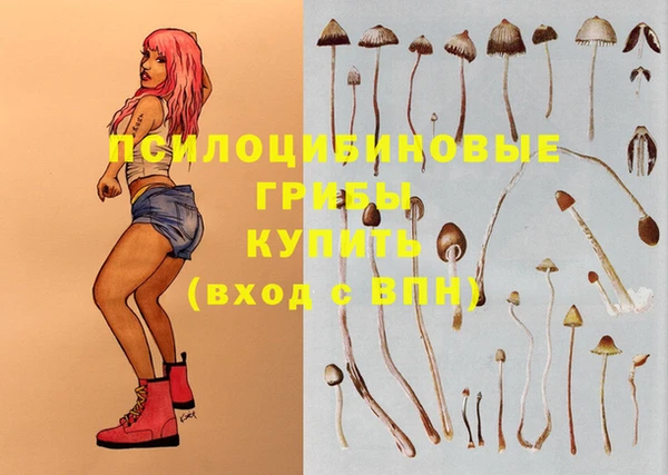бошки Каменногорск