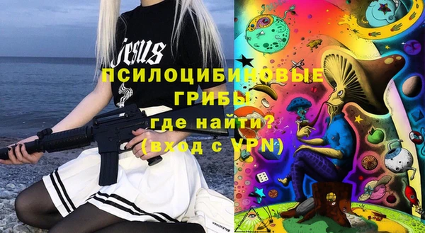 бошки Каменногорск